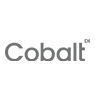 Cobalt Summer Party